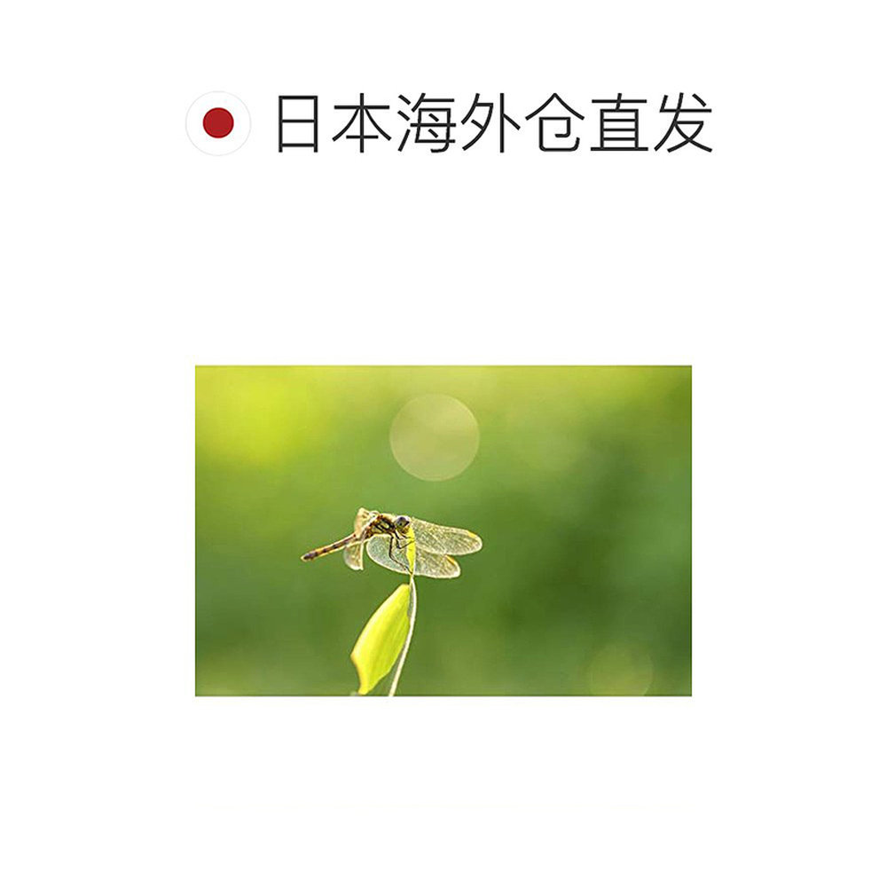 图 3