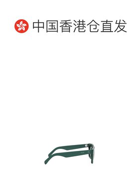香港直邮CELINE 男士眼镜 CL40248I96A SS2025 灰色 方框太阳镜