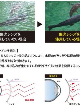 日本直邮 AXE 男士女士偏光镜片太阳镜户外钓鱼驾驶 AX ASP-109