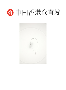 香港直邮dior迪奥 桀傲男士项链/吊坠 【付后1h可退】