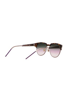 Dior 徽标太阳镜 DIORSPECTRAL