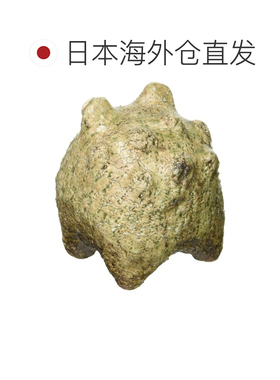 【日本直邮】信乐烧 赫奇门 粗陶饰品 大青蛙