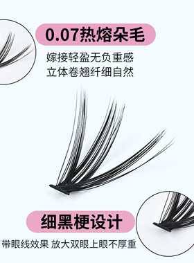 欧美30D40D假睫毛 热熔朵毛单簇自嫁接大容量分段式睫毛自然