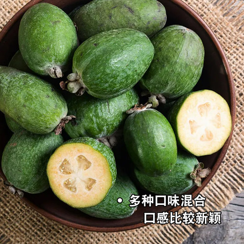 新奇观赏大果费约果斐济果菲油果水果树苗盆栽南方庭院种植带土发 - 图2