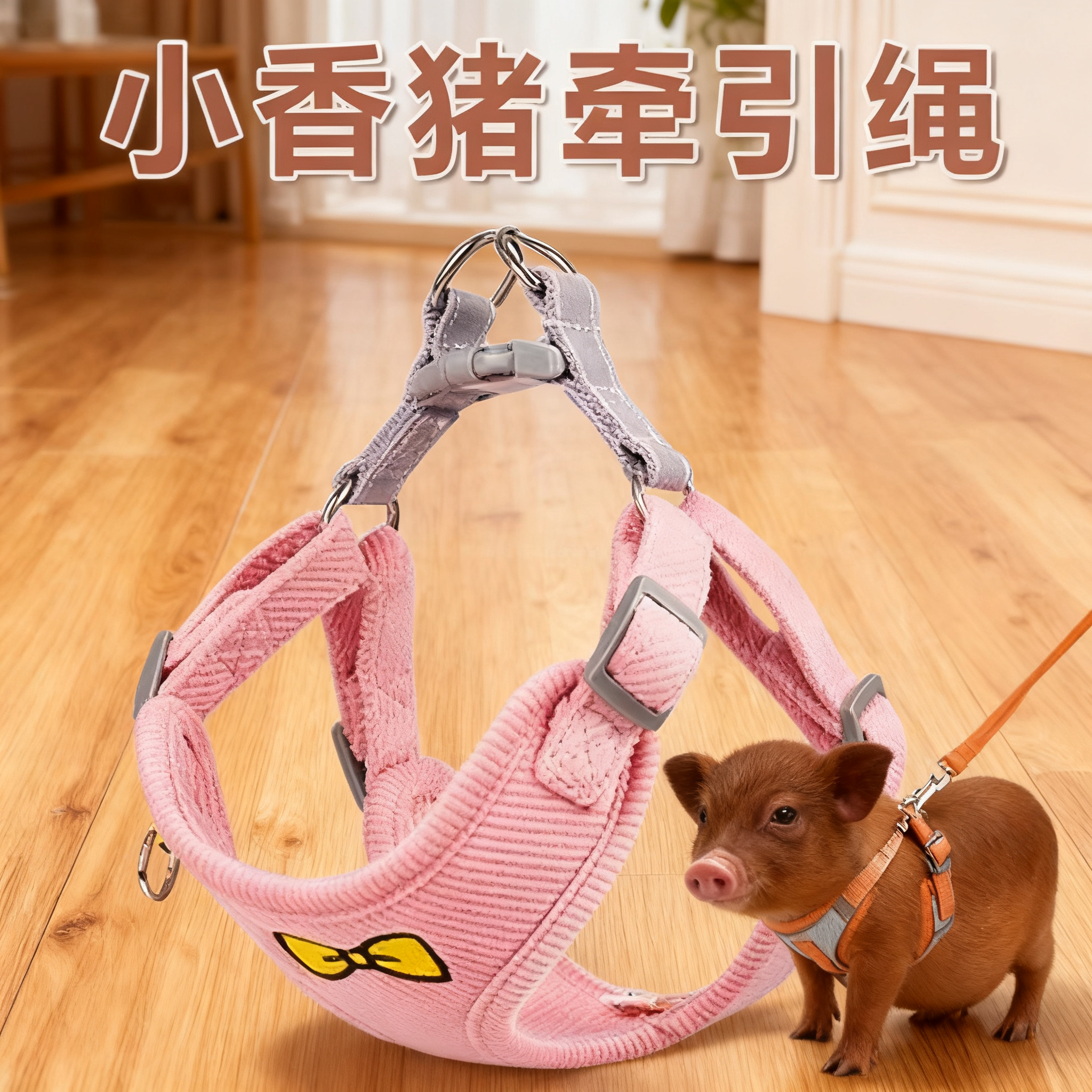 宠物猪牵引绳溜小香猪专用的绳子绑绳穿的衣服迷你小猪的生活用品,淘宝优惠券,粉丝福利购,淘宝优惠卷