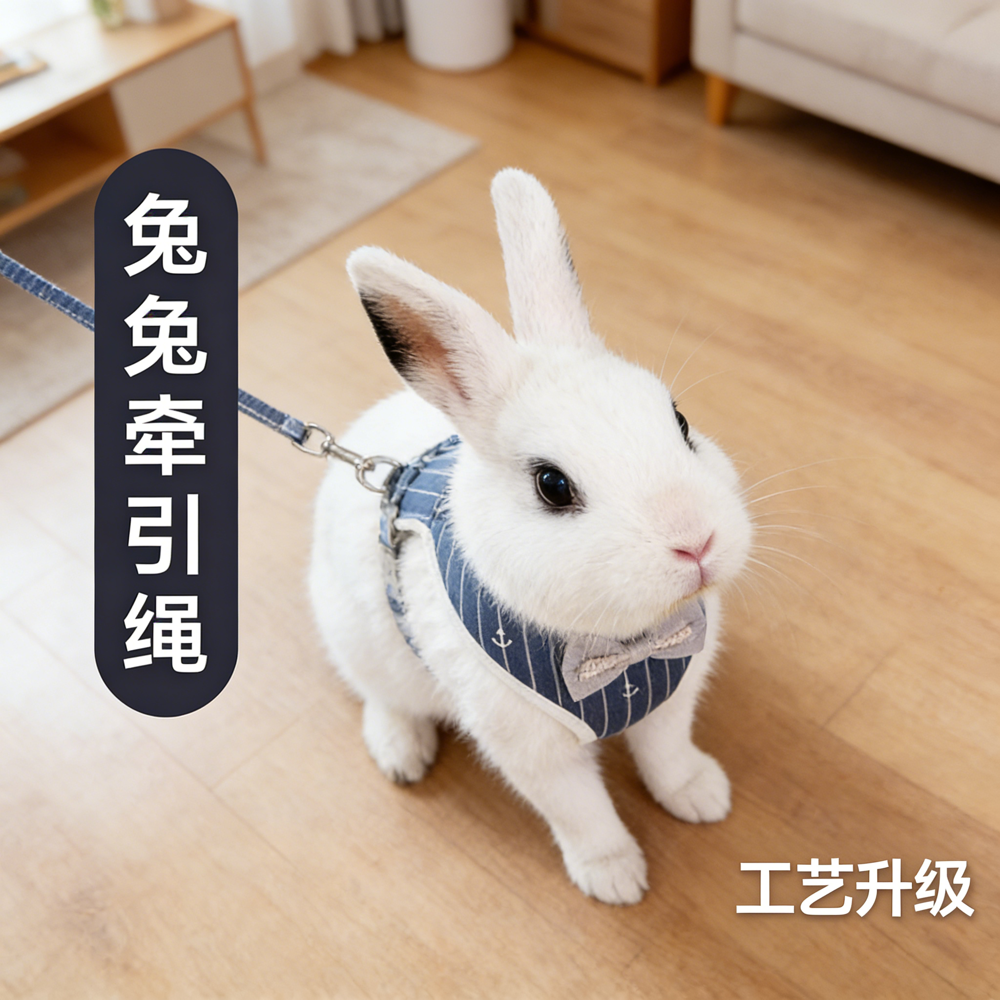 垂耳兔兔子牵引绳夏季背心防咬挣脱链子外出专用宠物兔兔溜兔神器,淘宝优惠券,粉丝福利购,淘宝优惠卷