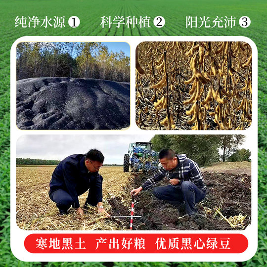 每果时光盐炒黑豆500g熟香酥原香非黄豆炒货干果孕妇休闲健康零食