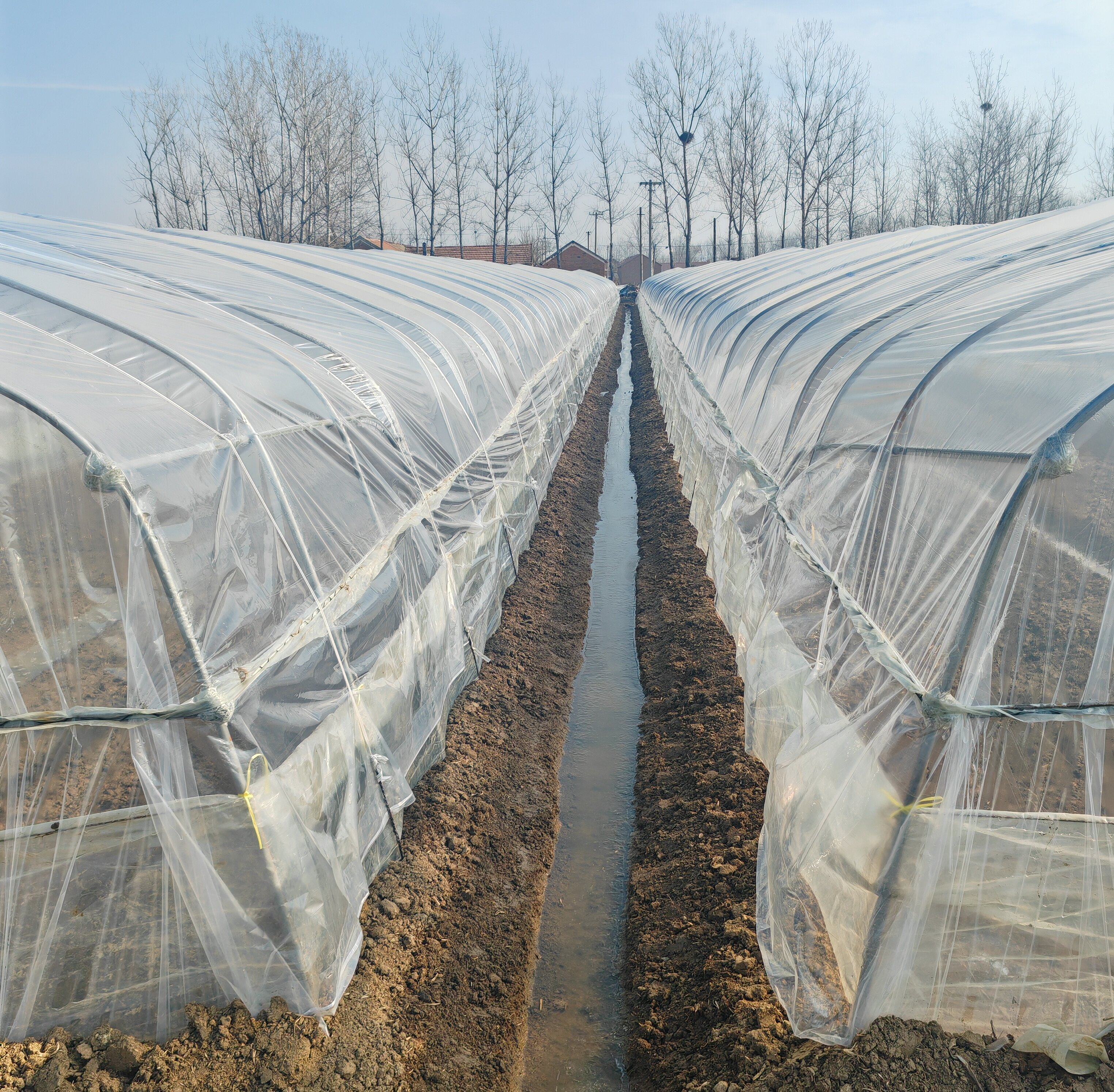 白色大棚膜PO无滴膜长寿温室蔬菜花卉养殖透光保温防雨防晒塑料布,淘宝优惠券,粉丝福利购,淘宝优惠卷