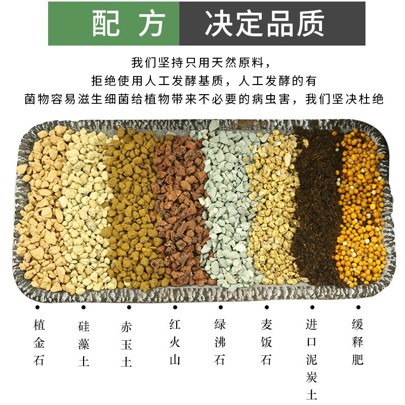 多肉颗粒土多肉专用颗粒营养土壤种植进口泥炭土叶插铺面石纯颗粒 - 图2