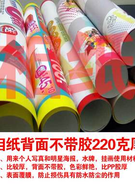 宠物店美容海报萌宠画贵宾名犬贴画KT板宠物店广告喷画