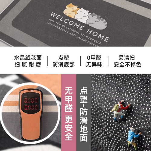 地垫入户门垫现代卡通玄关厨房防滑垫家用垫子地毯门垫进门脚垫 - 图1