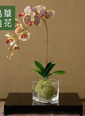 蝴蝶兰客厅装饰品晶华仿真花摆件