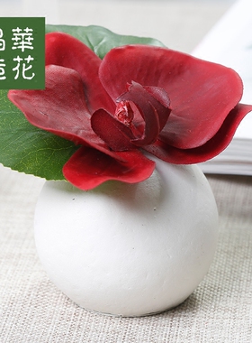 蝴蝶兰晶华仿真花小摆件
