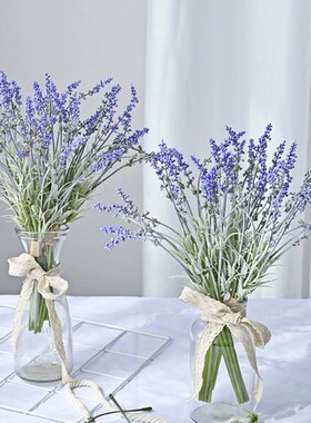 桌面浙江装饰花薰衣草小清新