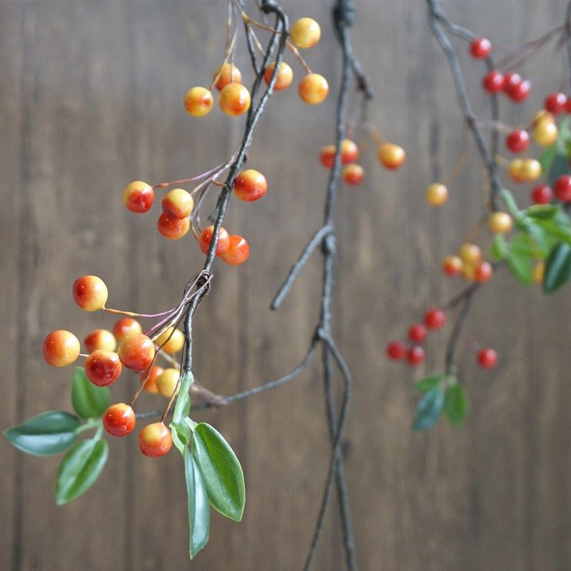 仿真野果蔓越莓长枝浆果蓝莓藤条壁挂花卉室内装饰水管缠绕细藤枝,淘宝优惠券,粉丝福利购,淘宝优惠卷