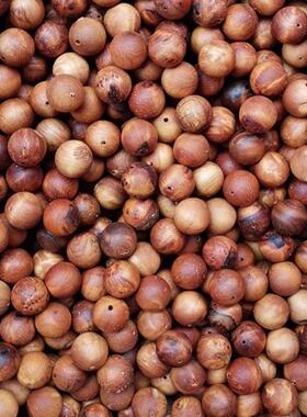 太行崖柏散珠粗粉刨花陈化红油料