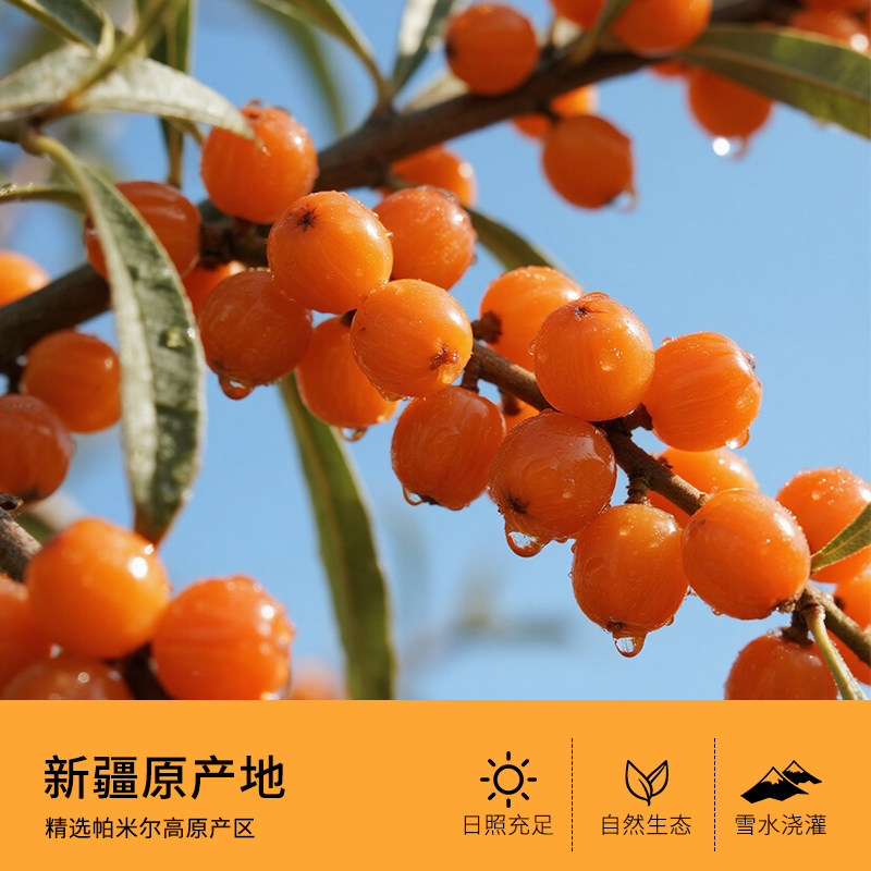 新疆特产愿臻沙棘冻干粉50g瓶装VC固体饮料冲饮冲泡养生下午茶,淘宝优惠券,粉丝福利购,淘宝优惠卷