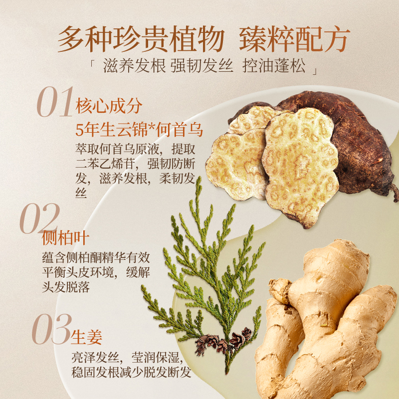 【直播专属】霸王育发洗发水何首乌固发防脱发控油蓬松熬夜洗发露