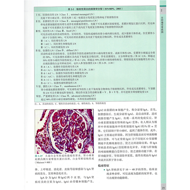 正版现货当日发实用泌尿生殖系统病理学杨熙明贺慧颖郑杰郑闪主编 2018年12月出版版次1精装北京大学医学出版社男科-图3