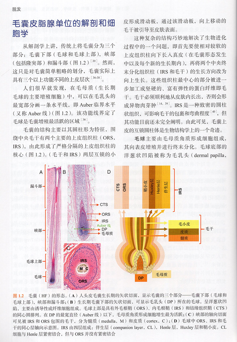 脱发北京大学医学出版社周城的毛发 希尔麦图书医学其它