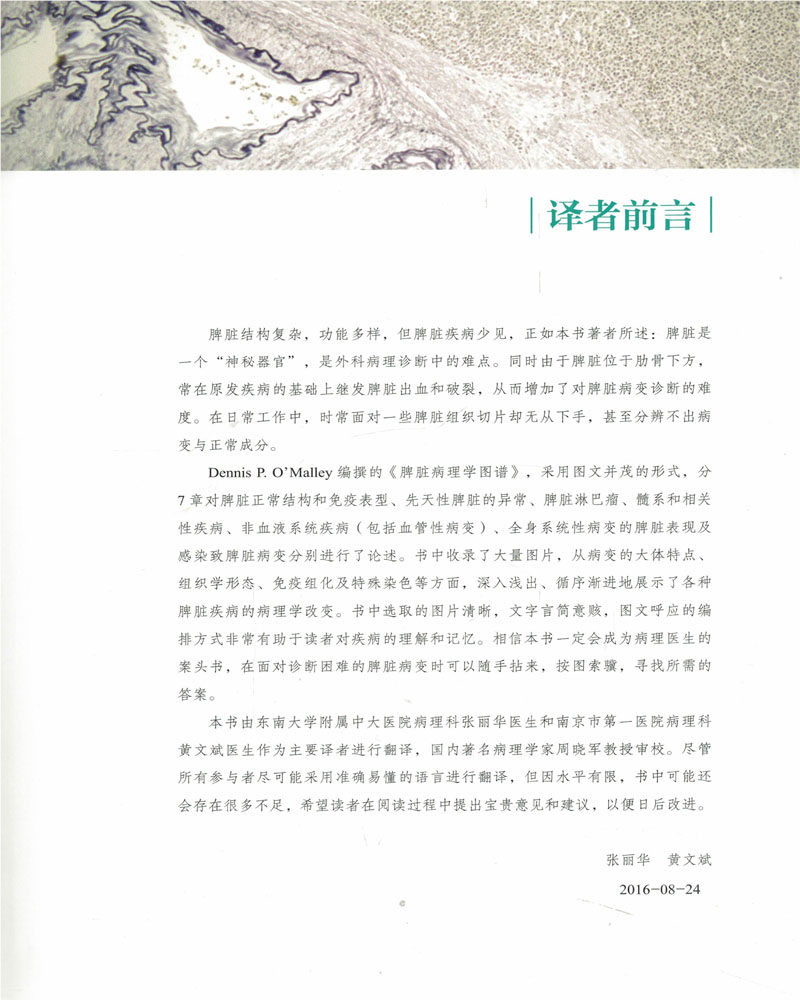 现货(美)丹尼斯北京脾脏病理学图谱 希尔麦图书医学图谱