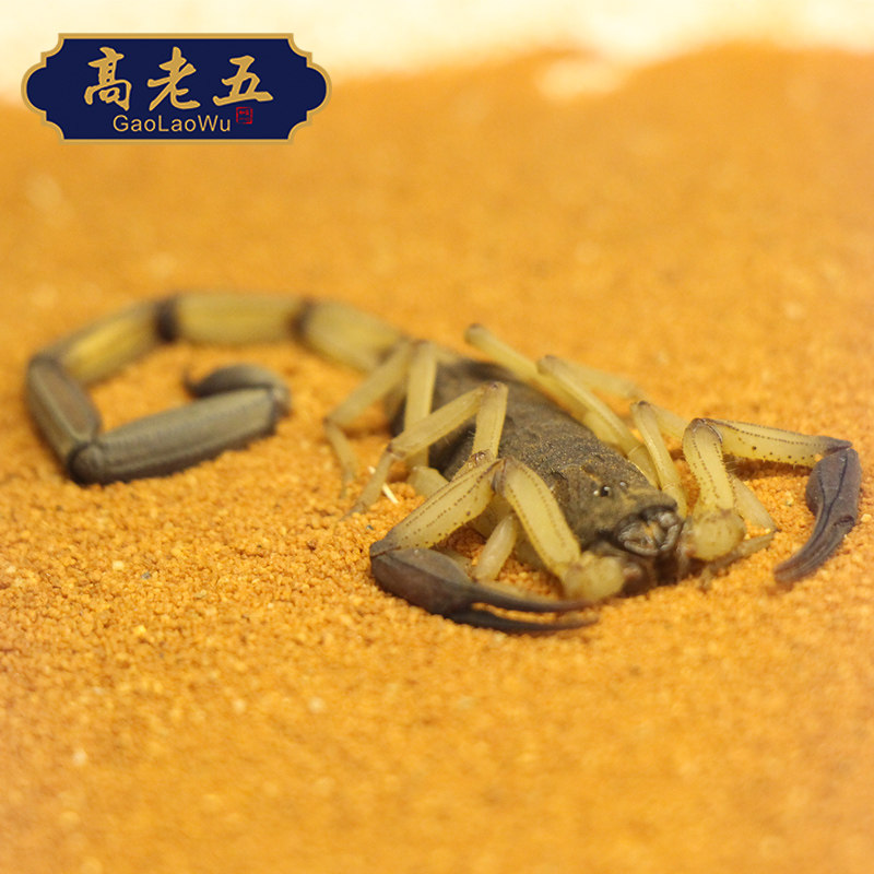  高老五其他药食同源食品