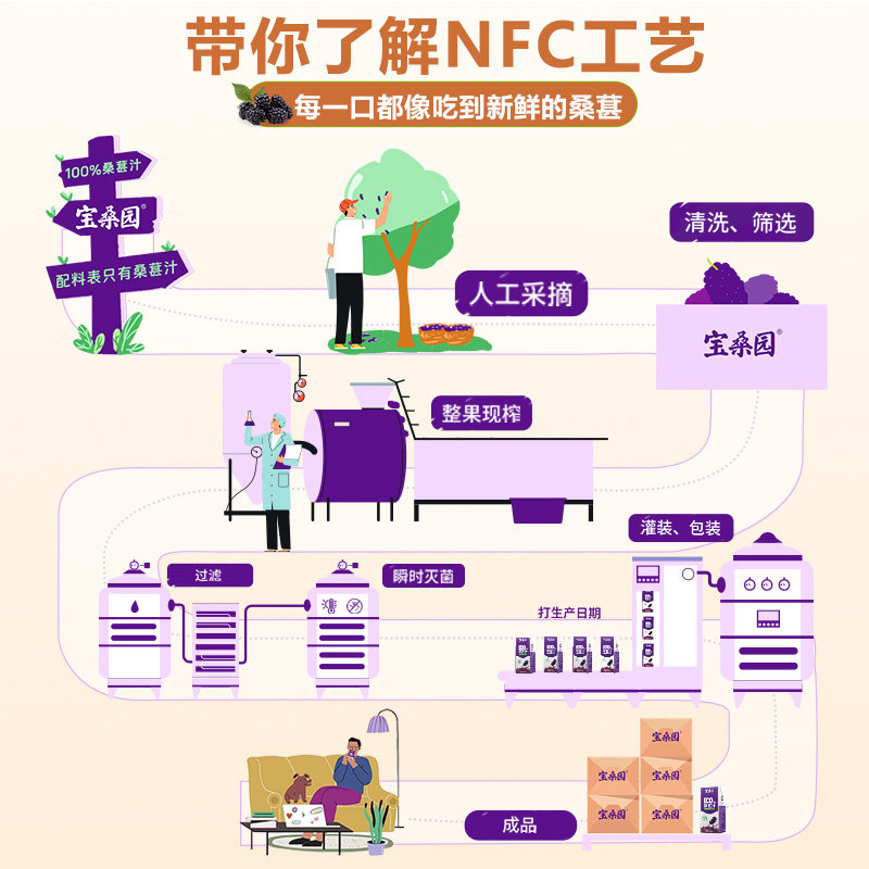 宝桑园100%桑葚汁nfc果汁0加糖花青素农科院饮品饮料果蔬汁
