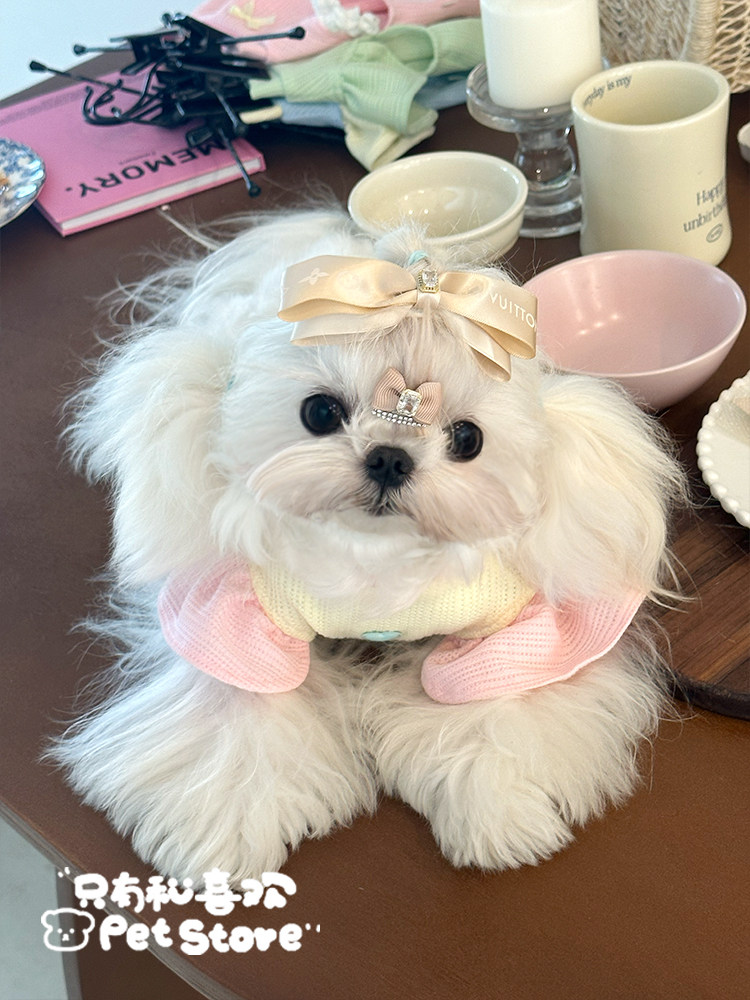 美拉德风手工迷你碎发宠物bb夹蝴蝶结发夹饰品猫咪头饰约克夏马尔,淘宝优惠券,粉丝福利购,淘宝优惠卷