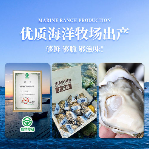 生蚝小镇生食刺身级大连生蚝鲜活海鲜牡蛎水产礼盒绿色食品5斤 - 图1