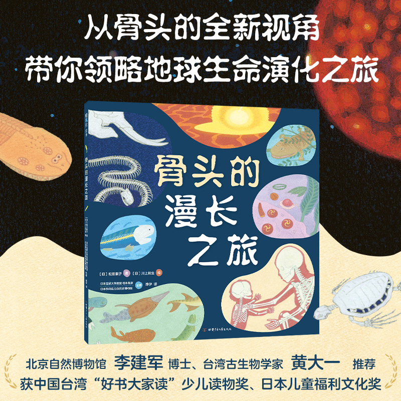 骨头的漫长之旅  松田素子  川上和生  进化  生物简史  大海  陆地  无脊椎  有脊椎  科普绘本  5岁以上  精装 - 图0