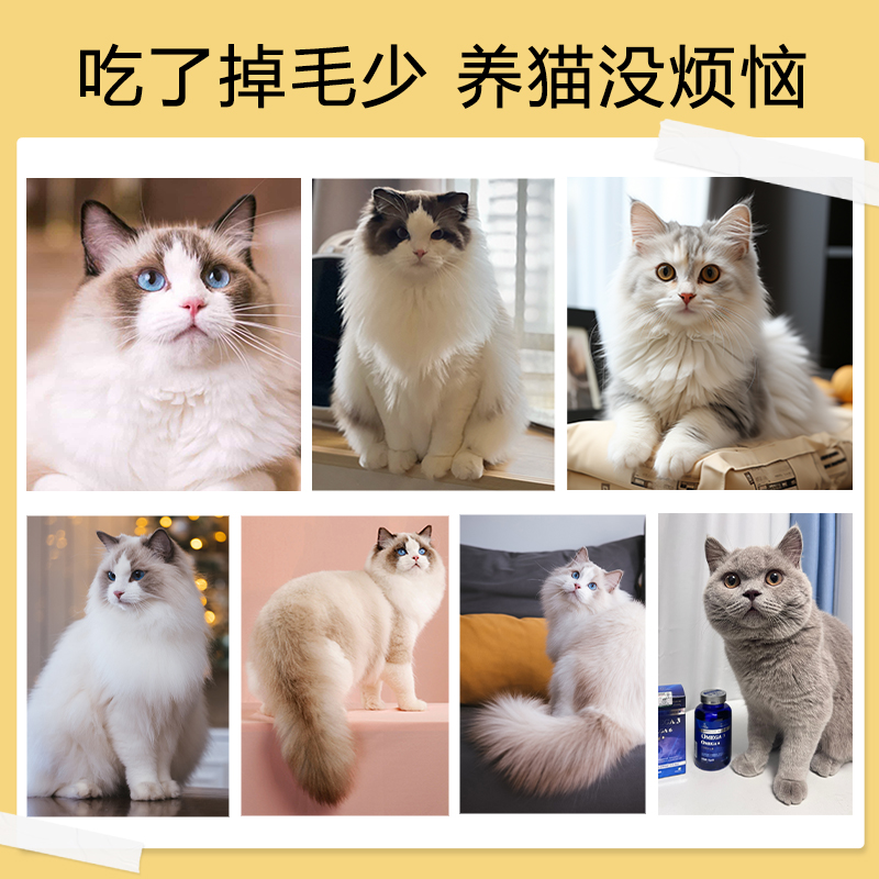 【直播专属】绝魅宠物鱼油狗狗专用猫咪鱼油犬猫卵磷脂深海鱼油