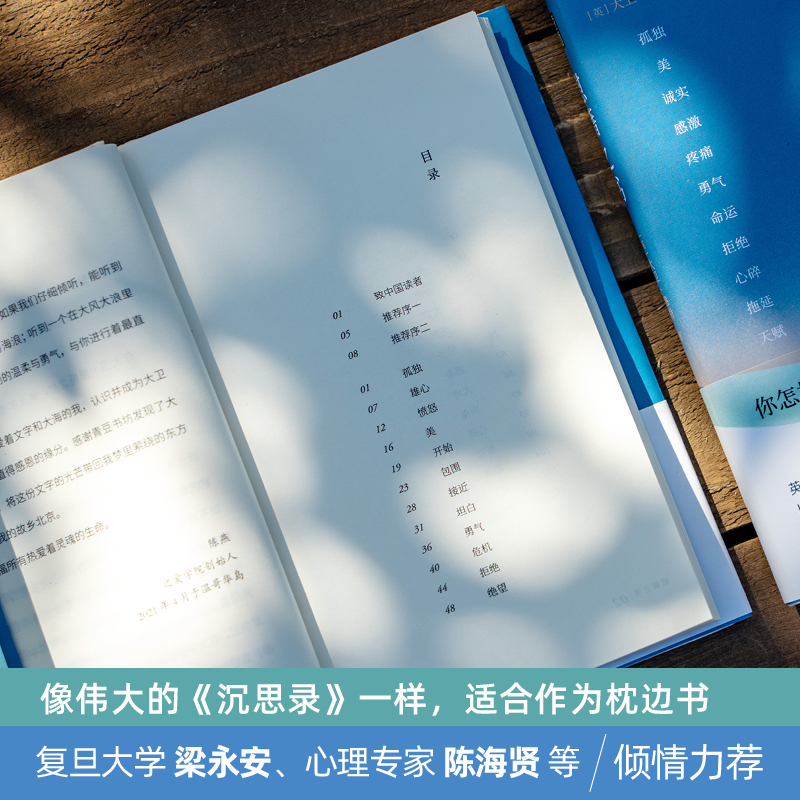 慰藉之书抚慰人心的52个关键词慰藉你人生中艰难的时光以词语洞穿庸常人生带你找到内心深处的力量梁永安陈海贤等倾情力荐推荐-图1