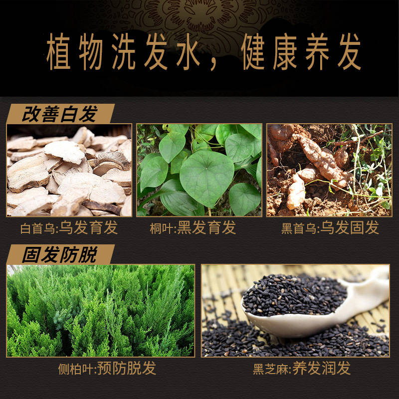 霸王乌发固发防脱发修复乌黑洗头膏 诺一居家日用洗发水