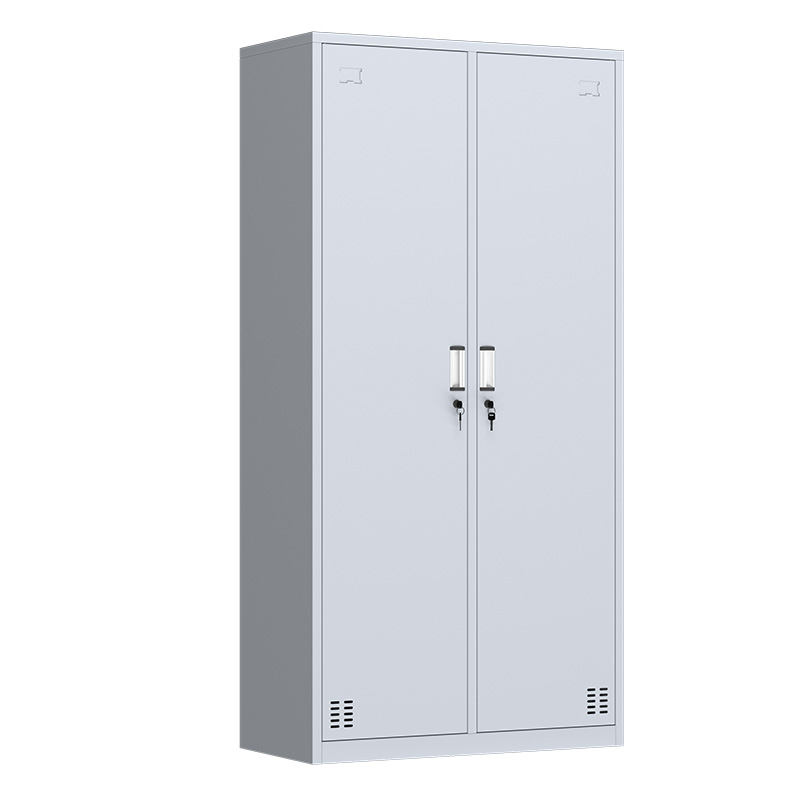 洛港 二门更衣柜员工宿舍钢制换衣柜车间铁皮柜储物柜子工衣柜 - 图1