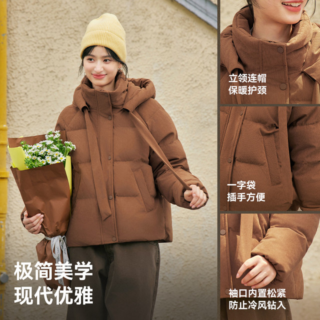 ເກມບິນໃນ snow ອອກແບບຊື່ລົງ jacket