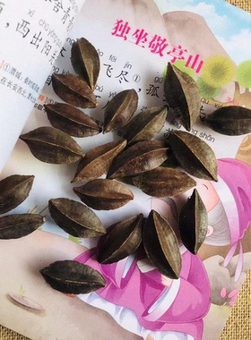 五角天然植物果实蜡烛相框干花