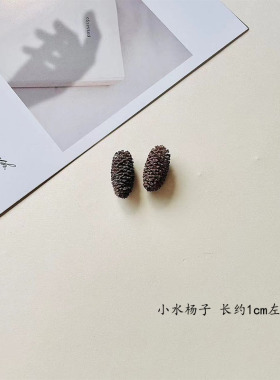 手工花环水杨子植物果实创意塔松