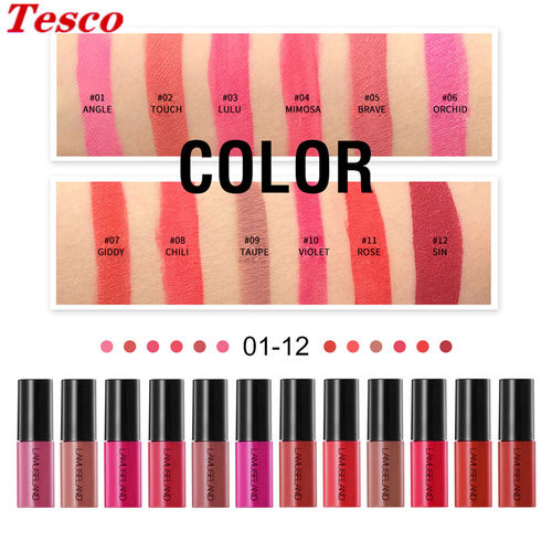 12 Colors Mini Matte Lip Gloss Lip Glaze Lipstick makeup口红 - 图2