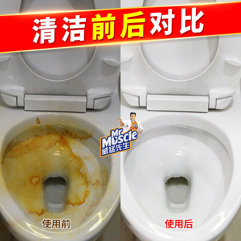  楠埠湾家居马桶清洁剂/洁厕剂