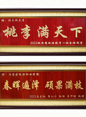 定制做桃李满天下牌贺匾毕业典礼品物感恩谢老师赠送学母校院纪念