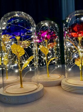 女朋友客厅金箔玫瑰花情人节