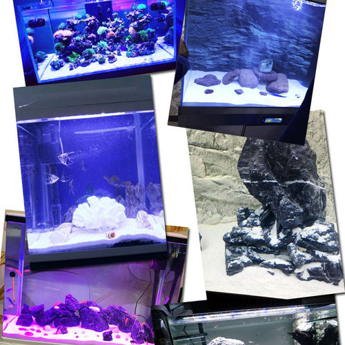 天然鱼缸底砂贝壳砂三湖砂海沙菲律宾沙鱼缸造景装饰慈鲷寄居蟹沙 - 图2