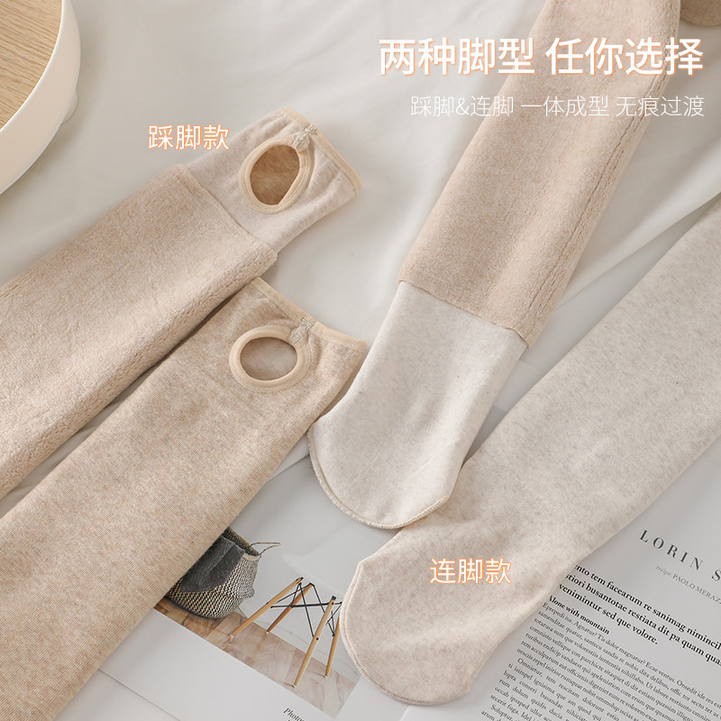 600克秋冬加长外穿加绒175连裤袜 衣歆打底裤