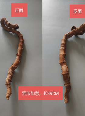 天然楠竹异形扭曲造型竹根手把件摆件雕刻把玩竹鞭一物一图原料