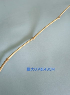 纯天然竹子文玩楠竹实心竹幼儿园家庭手工艺术弯曲料diy异形竹枝