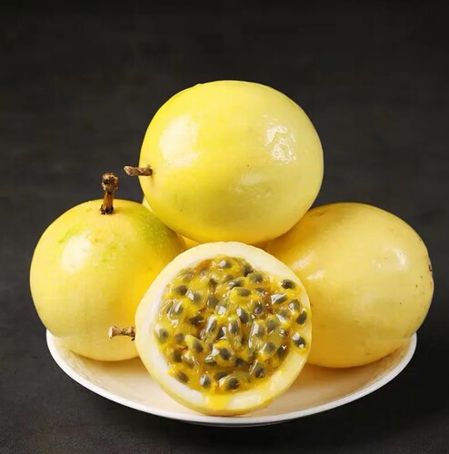 西番莲果苗鸡蛋果苗百香果大果金3号钦蜜九号嫁接苗四季盆栽地栽 - 图0