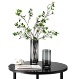 Nordic Light Luxury Gold Edge Glass Transparent Pright Tube Vase Swing Flow