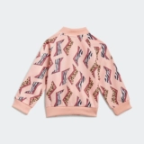 Adidas, классический комфортный спортивный костюм, осенний