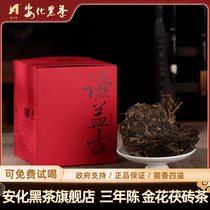 Anhua Black Tea Official Flagship Store Humbleji Three Years Chen Fu Brick Tea Loose Tea Free Ration Tea Tasted