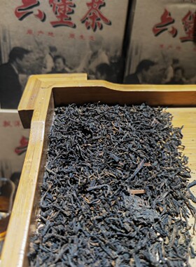 广西梧州市六堡茶